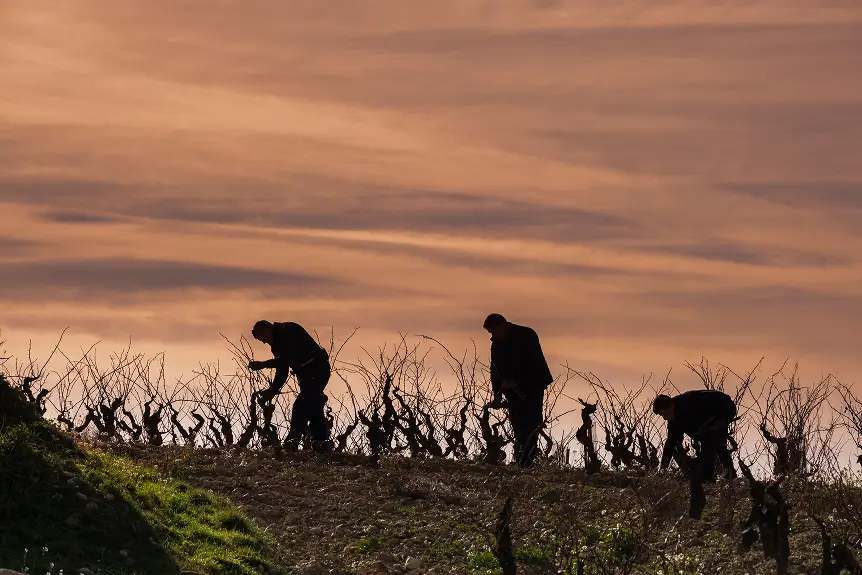 Agricultores historia