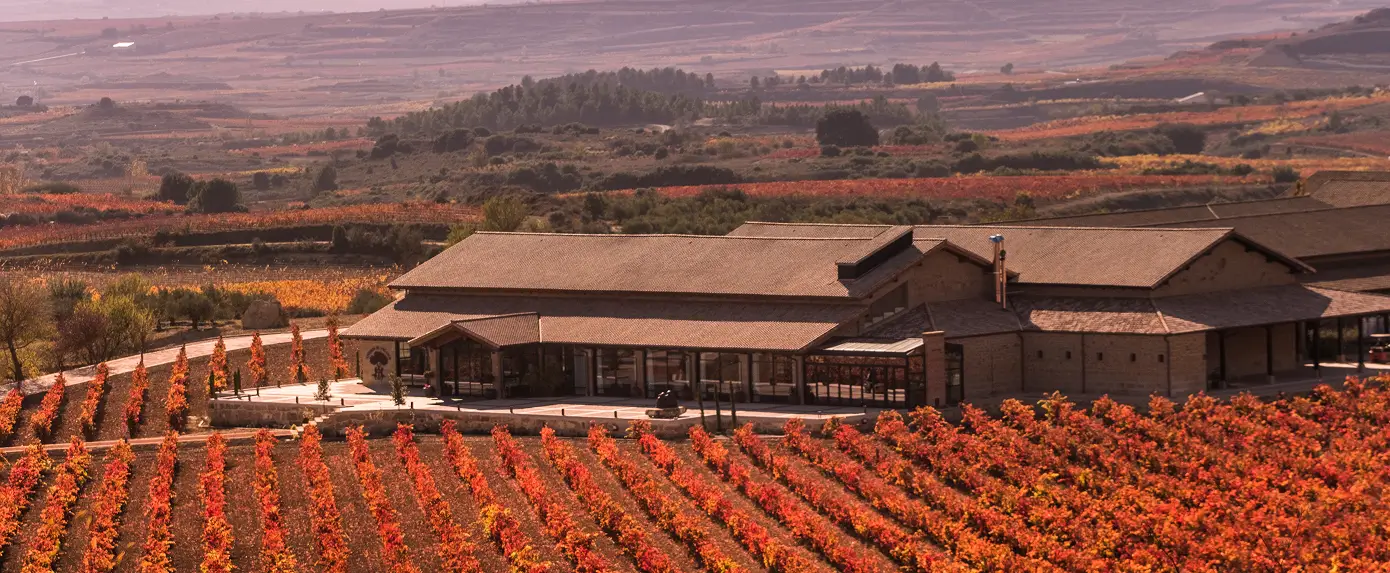 Bodega Viñedo de Páganos origen
