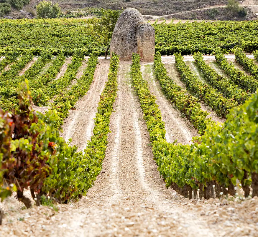 La Veguilla Estate