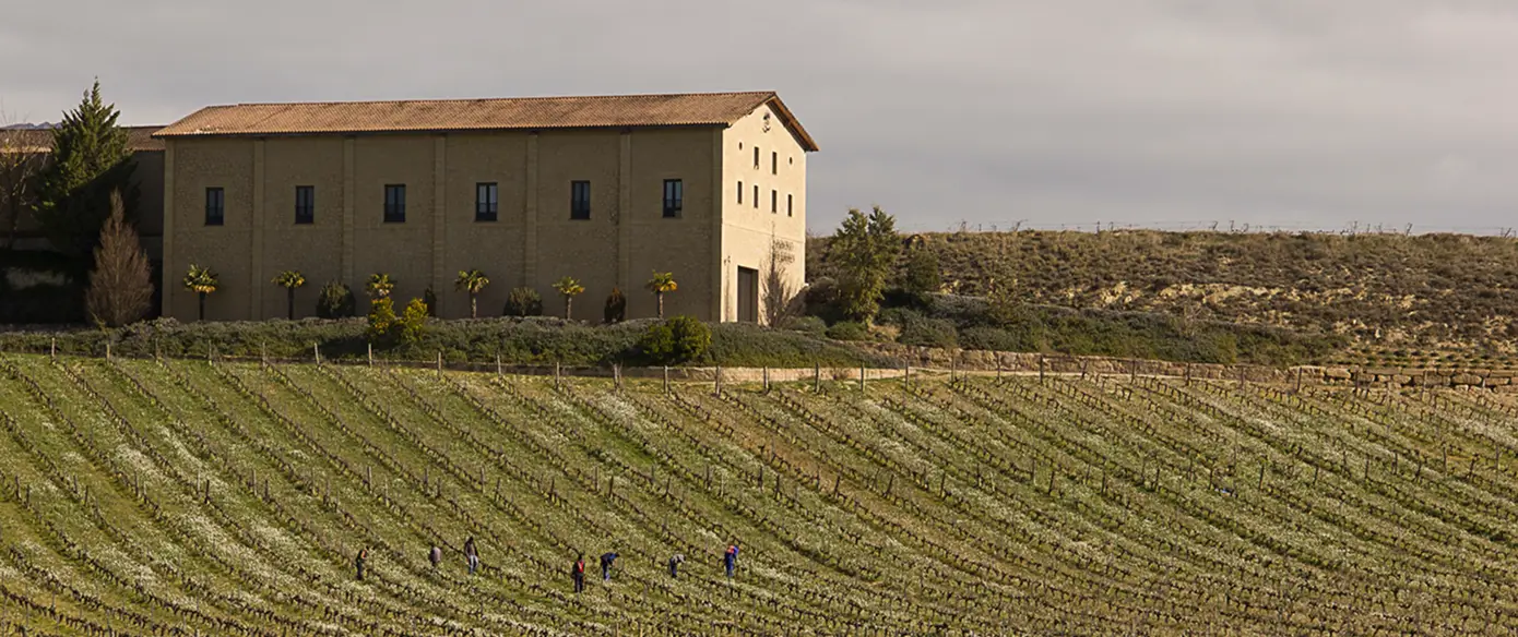 Bodega dominio de Eguren